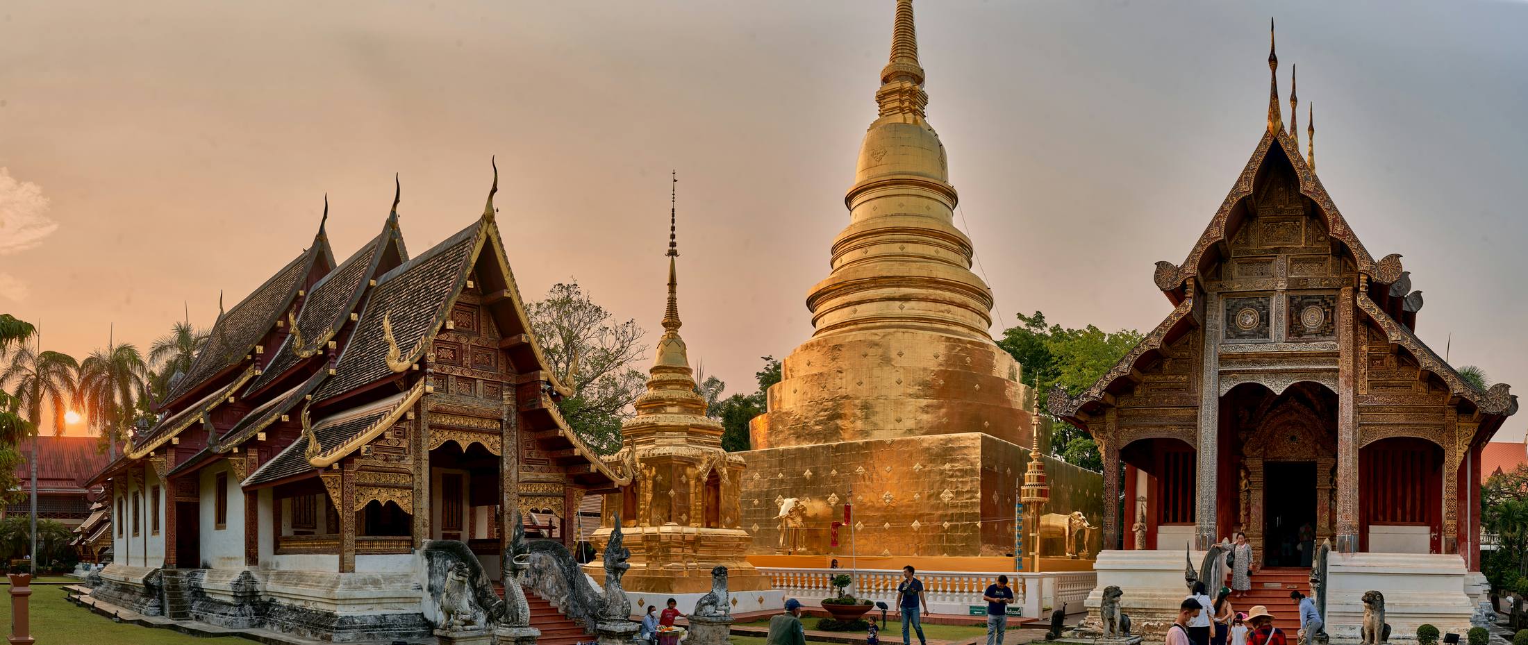 Templo dorado de Chiang Mai al atardecer, con estatuas de elefantes y edificios de tejados rojos y dorados