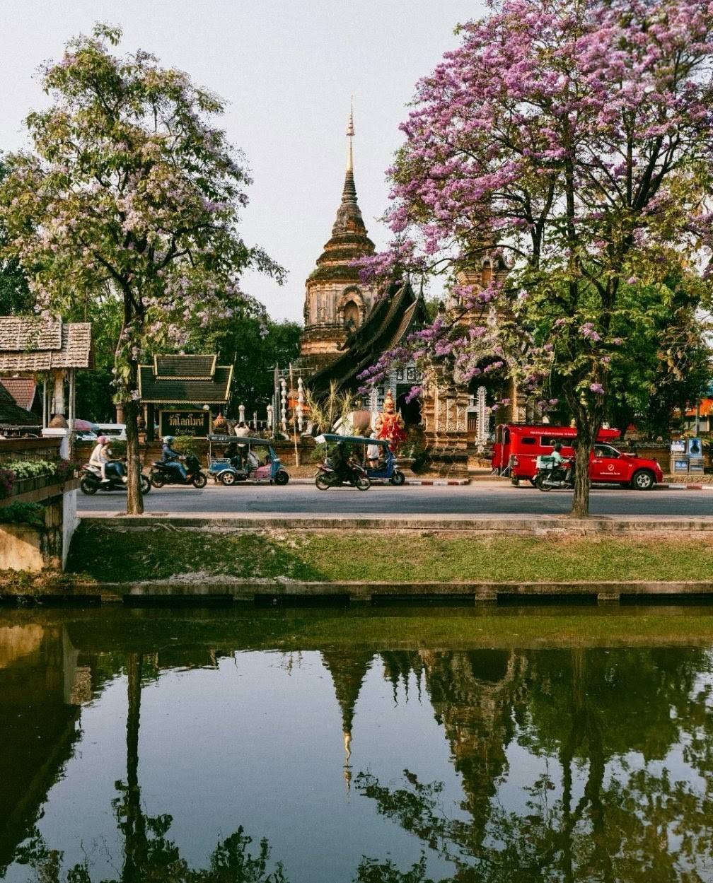 Songthaew rojo y templo con flores en Chiang Mai